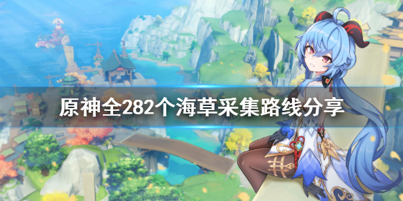 原神海草哪里多 海草在哪买