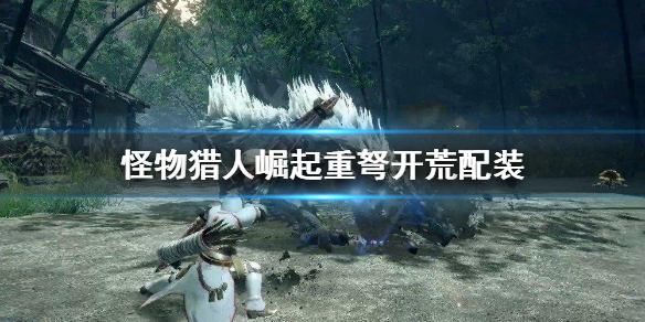 怪物猎人崛起重弩开荒怎么配装（怪物猎人崛起重弩开荒怎么配装的）