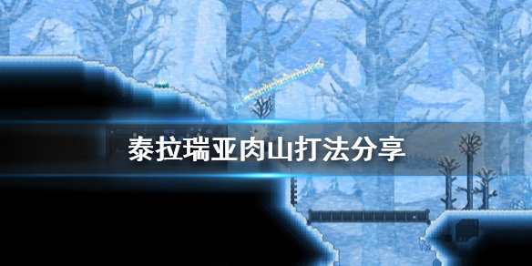 泰拉瑞亚肉山怎么打（泰拉瑞亚肉山怎么打第二遍）