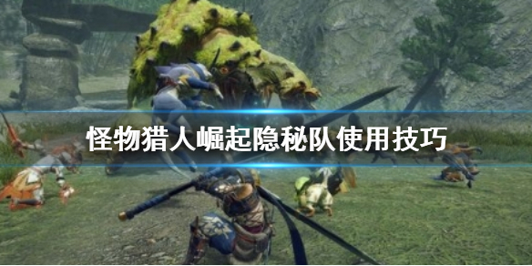 怪物猎人崛起隐秘队怎么用（怪物猎人崛起隐秘队怎么用技能）