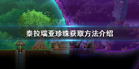 泰拉瑞亚珍珠怎么获得（泰拉瑞亚珍珠粉怎么获得）