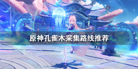 原神孔雀木哪里最多（原神孔雀木在哪采集）