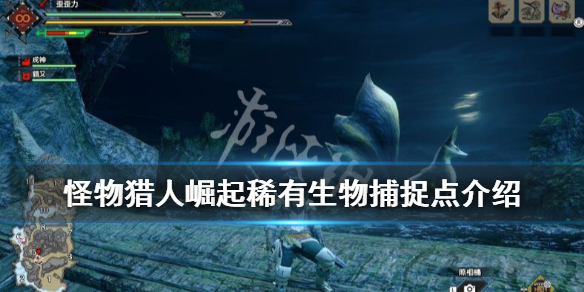 怪物猎人崛起稀有生物怎么抓 怪物猎人崛起稀有生物怎么抓出来