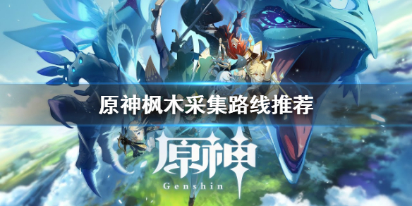 原神枫木哪里多（原神枫木具体位置）