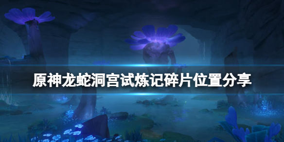 原神龙蛇洞宫试炼记碎片位置分享 龙地洞大蛇