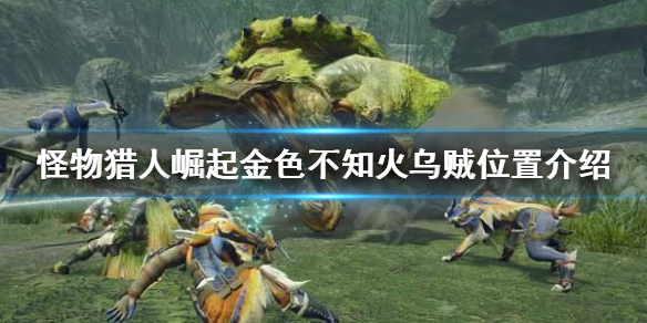 怪物猎人崛起金色不知火乌贼在哪（怪物猎人崛起 金色）