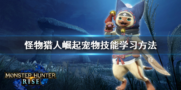 怪物猎人崛起宠物技能怎么学（怪物猎人崛起宠物做什么装备）