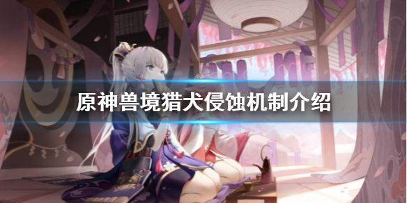 原神鹤观兽境猎犬嗜魔机制是什么（鹤观任务攻略）