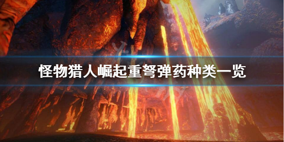 怪物猎人崛起重弩子弹有哪些 怪物猎人崛起重弩最强配装
