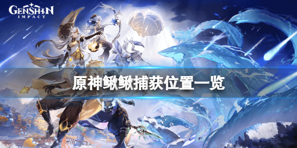 原神鳅鳅在哪抓（原神鳅鳅有什么用）