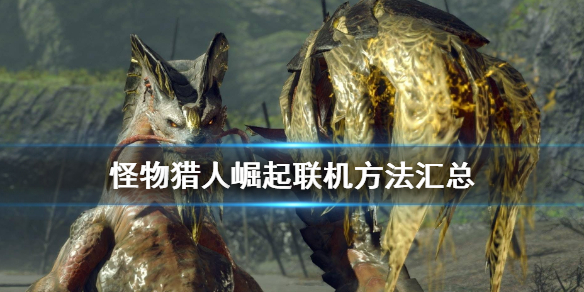 怪物猎人崛起怎么联机 怪物猎人崛起怎么联机做任务steam