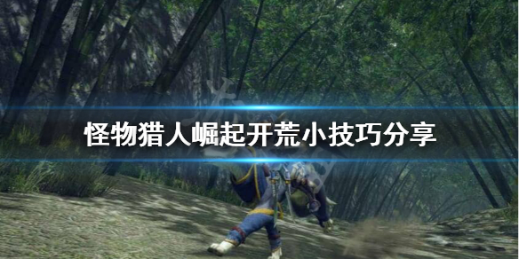 怪物猎人崛起开荒要注意什么 怪物猎人崛起 开荒流程