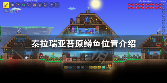 泰拉瑞亚苔原鳟鱼在哪（泰拉瑞亚苔原鳟鱼地点）
