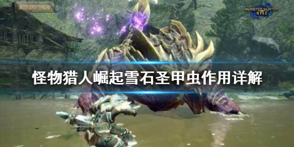 怪物猎人崛起雪石圣甲虫有什么用 怪物猎人rise雪石圣甲虫