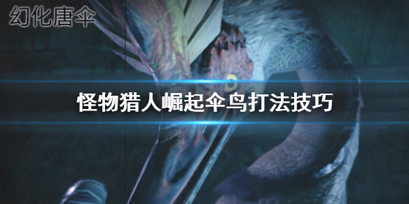 怪物猎人崛起伞鸟怎么打 怪物猎人崛起伞鸟怎么打的