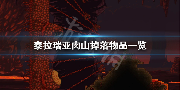 泰拉瑞亚肉山会掉什么（泰拉瑞亚肉山掉落物品一览）