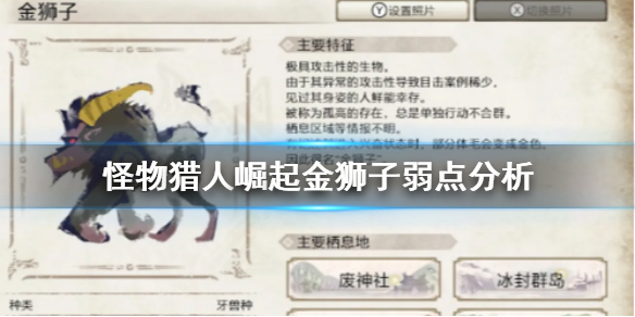 怪物猎人崛起金狮子好打吗（怪物猎人崛起金狮子好打吗贴吧）