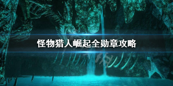 怪物猎人崛起全勋章怎么收集（怪物猎人崛起所有勋章）