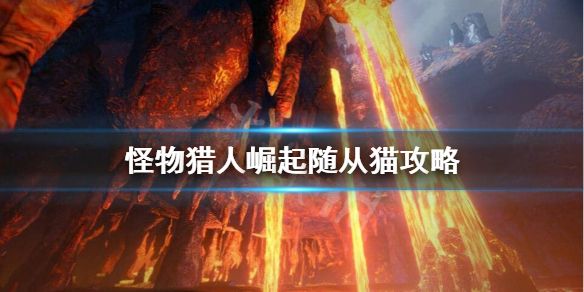 怪物猎人崛起随从猫怎么选（怪物猎人崛起随从猫怎么选技能）