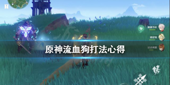 原神流血狗怎么打（原神流血狗打法）