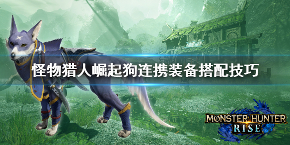 怪物猎人崛起狗连携怎么搭配 怪物猎人崛起狗带什么猎犬具