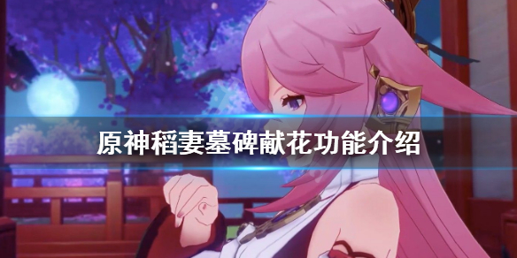 原神稻妻墓碑献花有什么用（原神稻妻墓碑献花有什么奖励）