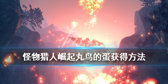 怪物猎人崛起丸鸟的蛋怎么获得 怪物猎人崛起丸鸟蛋搬回营地怎么办