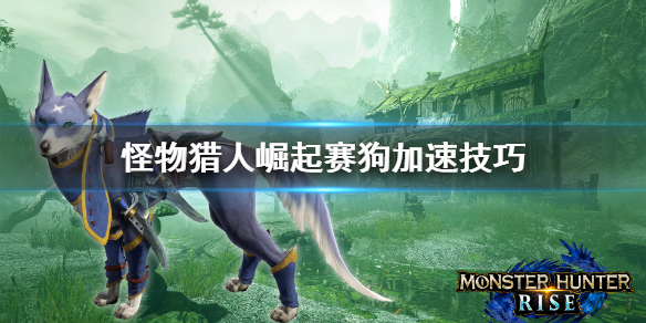 怪物猎人崛起赛狗怎么加速 怪物猎人崛起赛狗怎么加速攻击