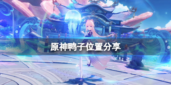 原神鸭子哪里多（原神喂鸭子的隐藏任务）