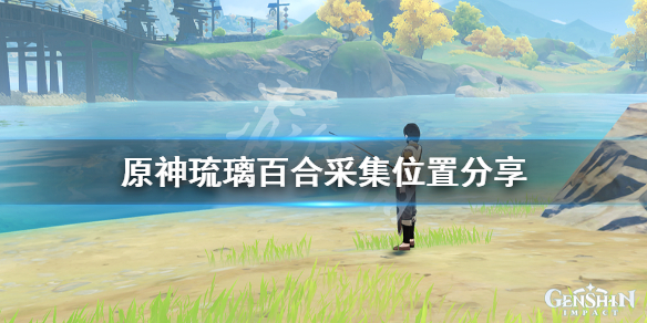 原神琉璃百合哪里最多