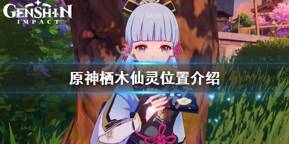 原神栖木仙灵在哪 原神栖木三个仙灵