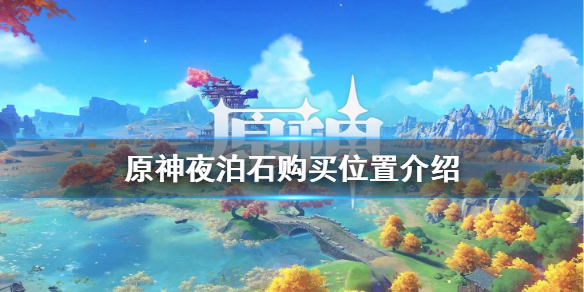 原神夜泊石在哪买（原神夜泊石怎么买）