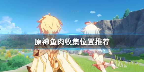 原神鱼肉哪里多（原神 鱼肉哪里多）