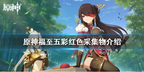 原神福至五彩第一天怎么玩 原神福至五彩第二天