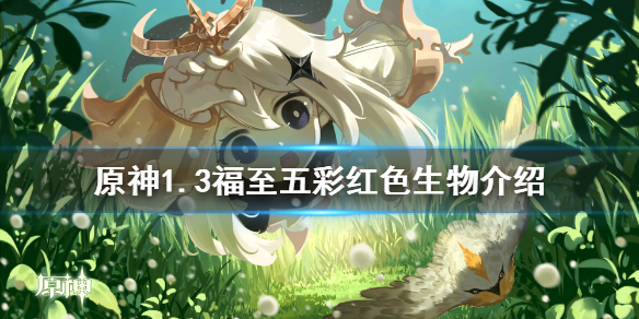 原神1.3福至五彩第三天怎么玩 原神福至五彩第四天