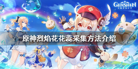 原神烈焰花花蕊怎么采集 原神烈焰花有什么用