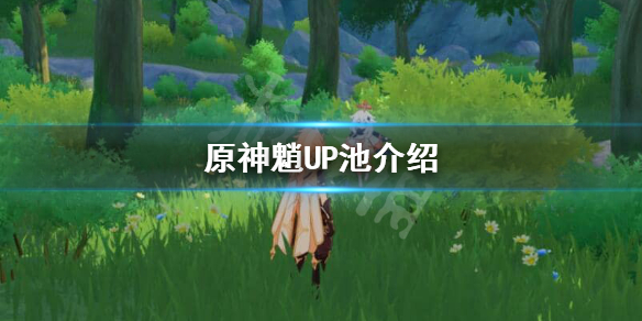 原神魈UP什么时候上线（原神魈up什么时候up）