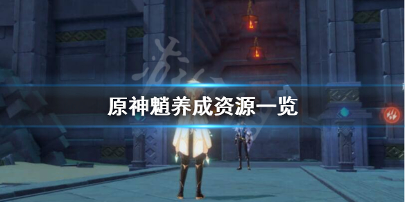 原神魈怎么养（原神魈如何培养）