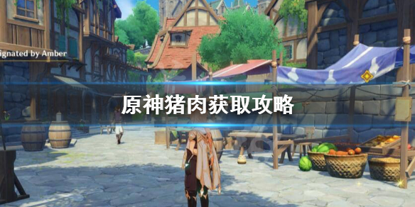 原神猪肉怎么刷 元神猪肉哪里多