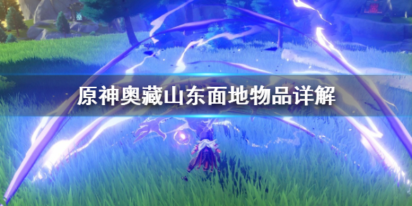 原神奥藏山东面地有什么（元神奥藏山在哪）