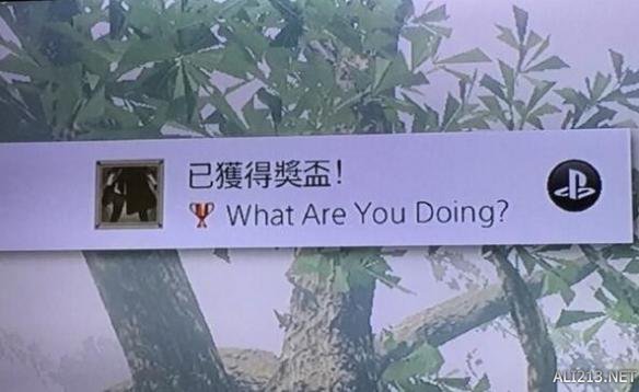 尼尔机械纪元What（尼尔机械纪元whereareyoudoing）