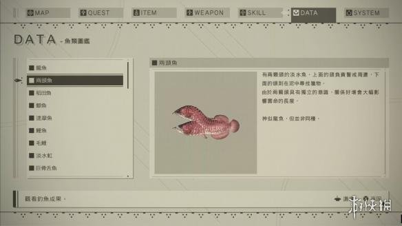 尼尔机械纪元档案收集图文大全 武器/个体/鱼类档案合集 武器故事：小型剑