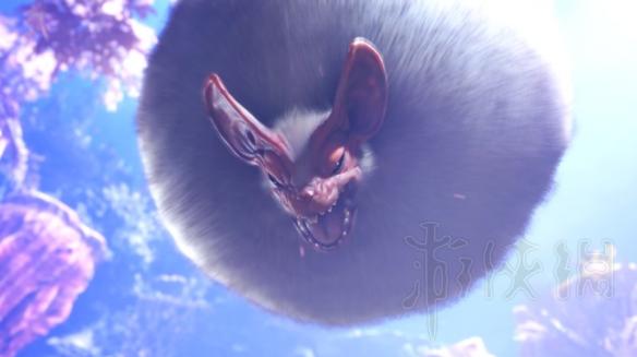 怪物猎人世界浮空龙怎么打（怪物猎人世界浮空龙怎么打怪）