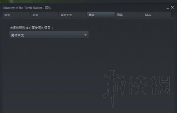 古墓丽影暗影中文补丁下载方法 古墓丽影暗影安装mod