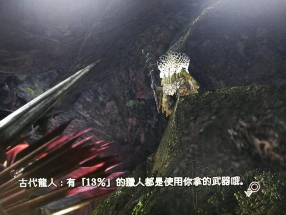 怪物猎人世界武器使用排名一览 怪物猎人世界什么武器比较热门 第一名：太刀_网