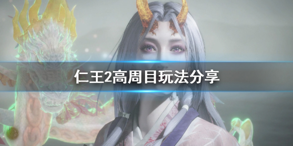 仁王2高周目怎么玩（仁王2高周目怎么打）