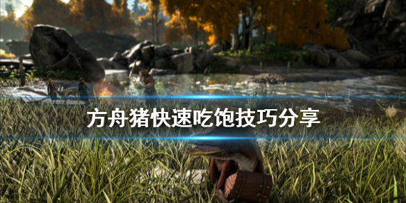 方舟生存进化猪怎么快速吃饱食物（方舟猪怎么快速回食物）