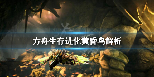方舟生存进化黄昏鸟怎么样（方舟生存进化黄昏鸟有什么用）