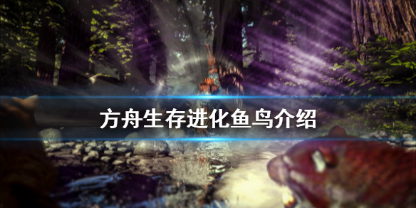 方舟生存进化鱼鸟有什么用（方舟手游鱼鸟有什么用）