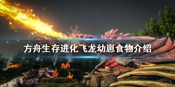 方舟生存进化飞龙幼崽吃什么（方舟飞龙幼崽怎么喂养）